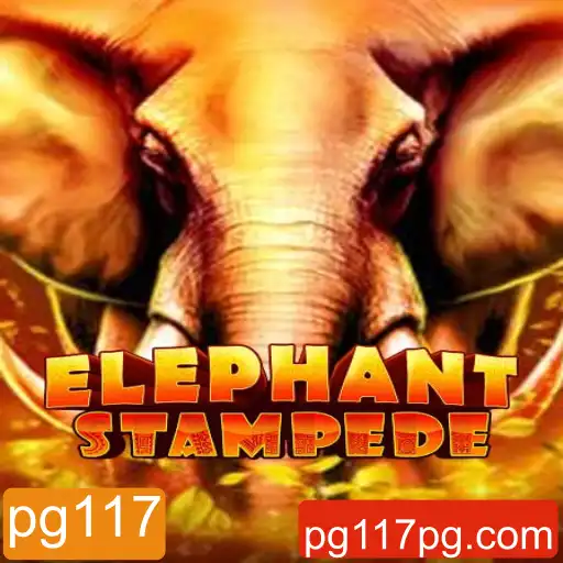 pg117 Promoções